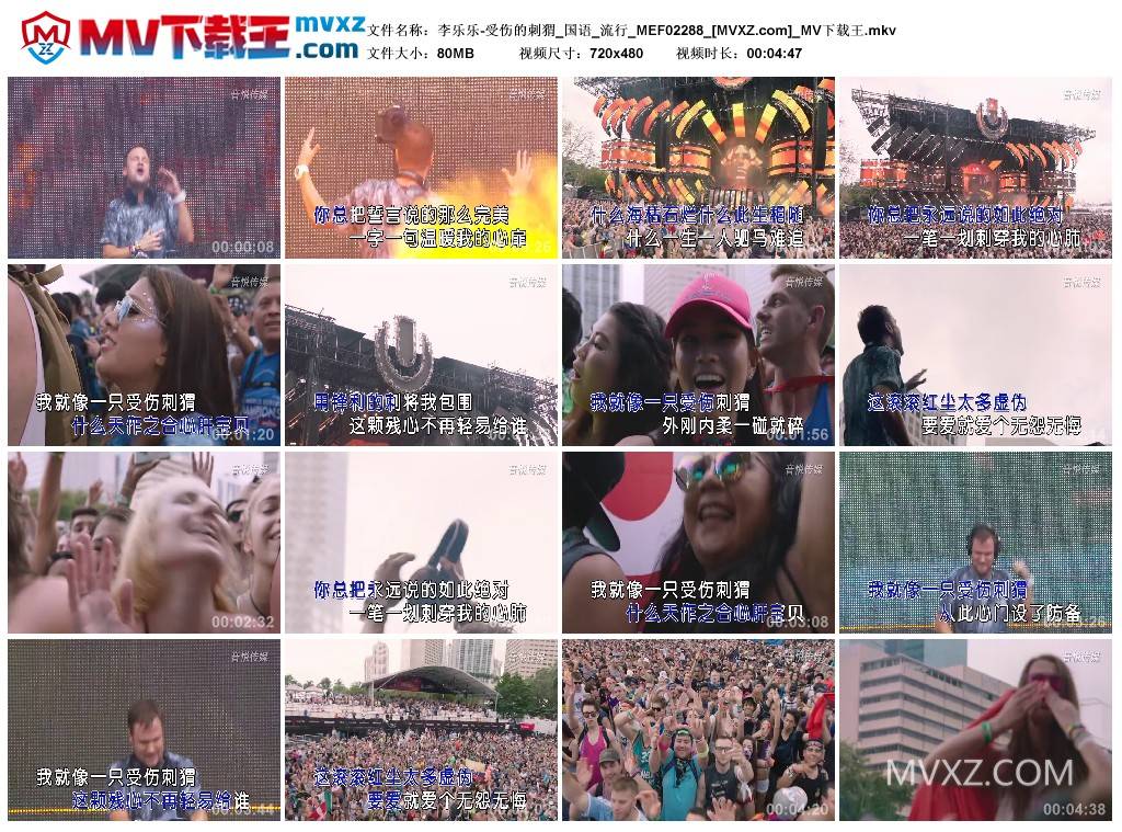 李乐乐-受伤的刺猬_国语_流行_MEF02288